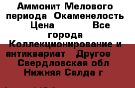 Аммонит Мелового периода. Окаменелость. › Цена ­ 2 800 - Все города Коллекционирование и антиквариат » Другое   . Свердловская обл.,Нижняя Салда г.